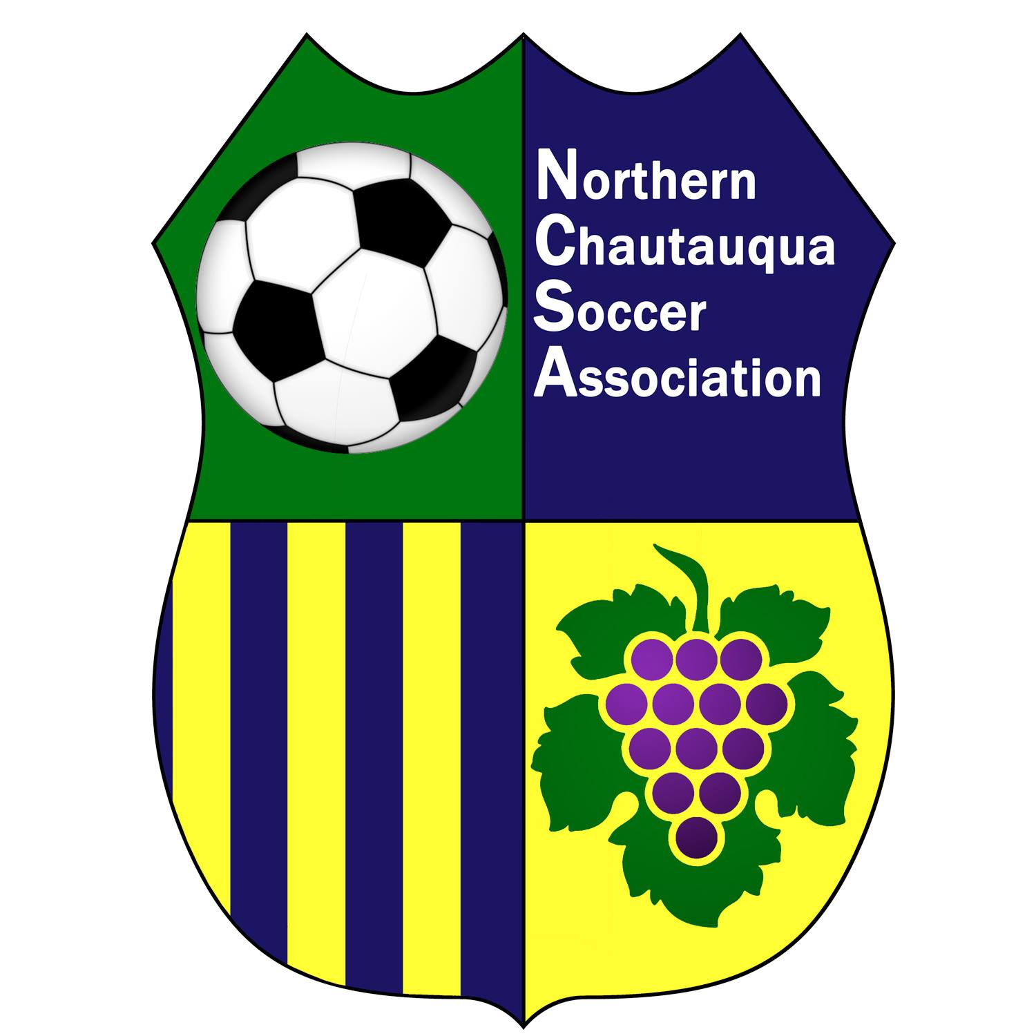 NCSA Seeks Candidates for Executive Board Positions